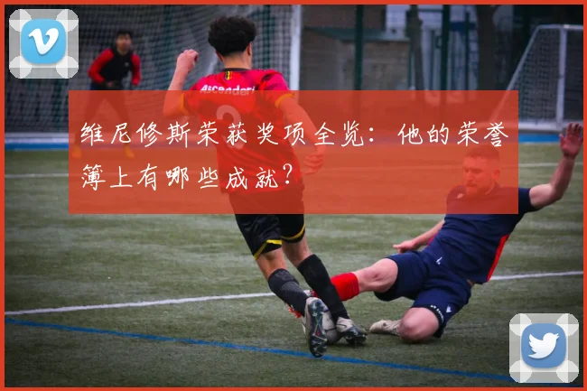 维尼修斯荣获奖项全览：他的荣誉簿上有哪些成就？