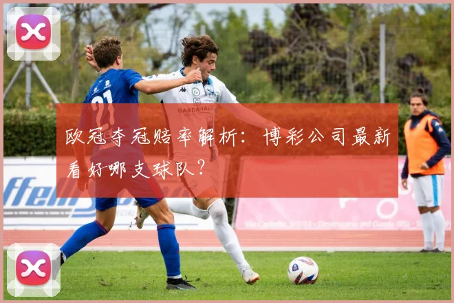 欧冠夺冠赔率解析:博彩公司最新看好哪支球队?